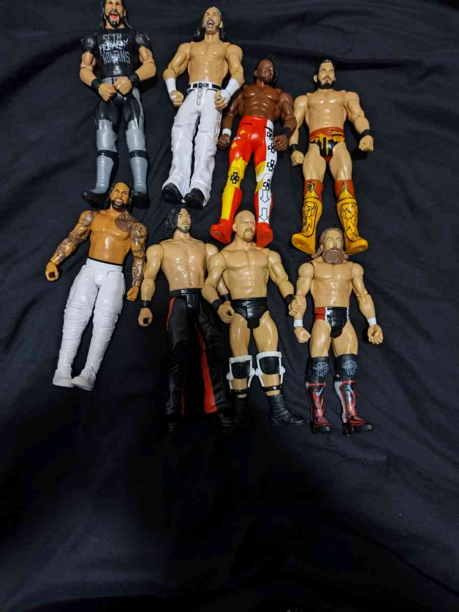 wrestling action figures