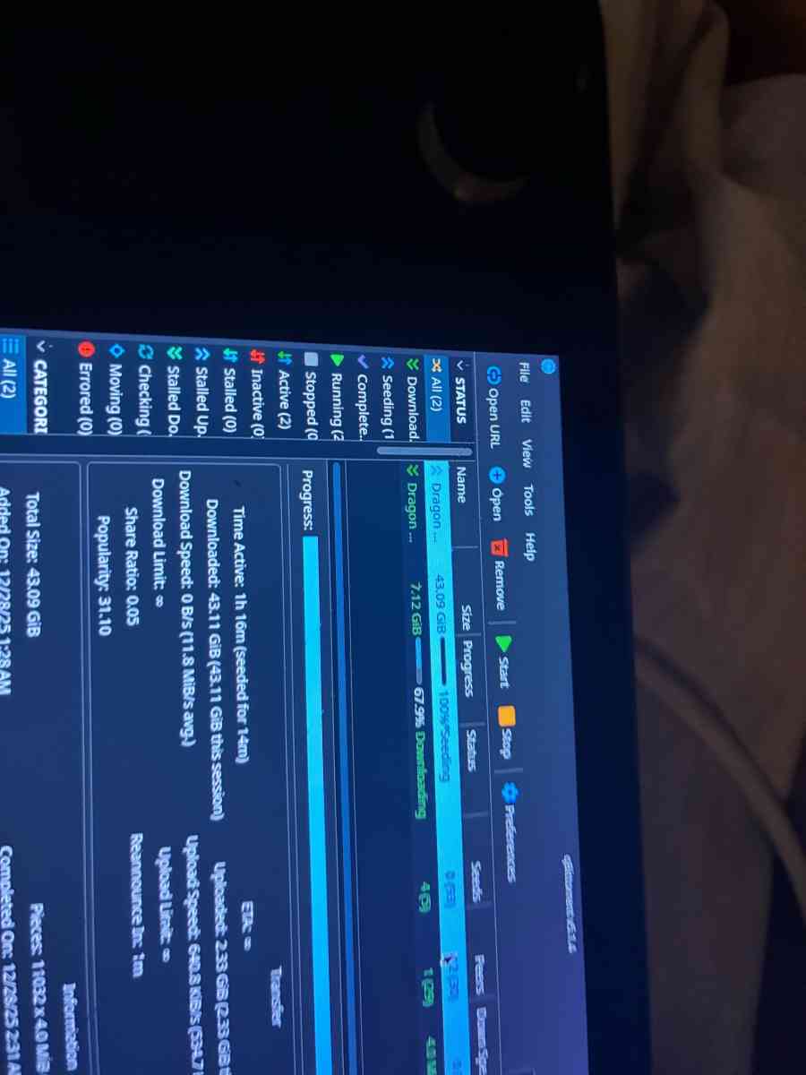 steam deck - Brooklyn, New York