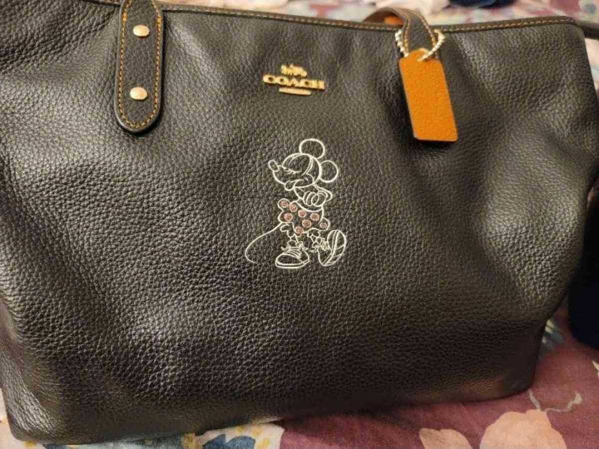 Minnie mouse coach purse - Hudson, Florida