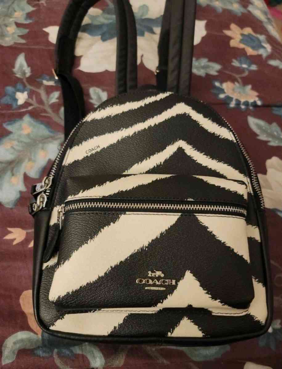 Mini Coach backpack - Hudson, Florida