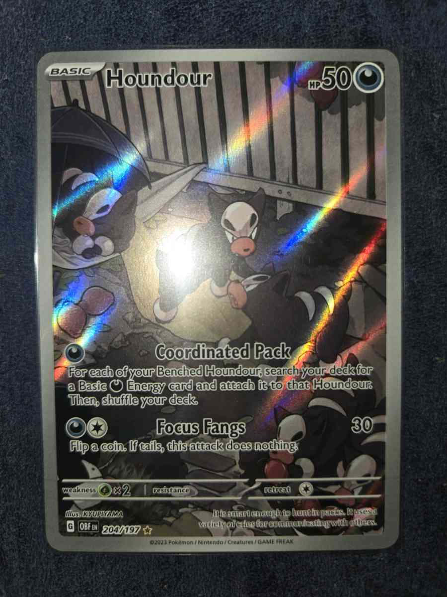 houndour - Yelm, Washington