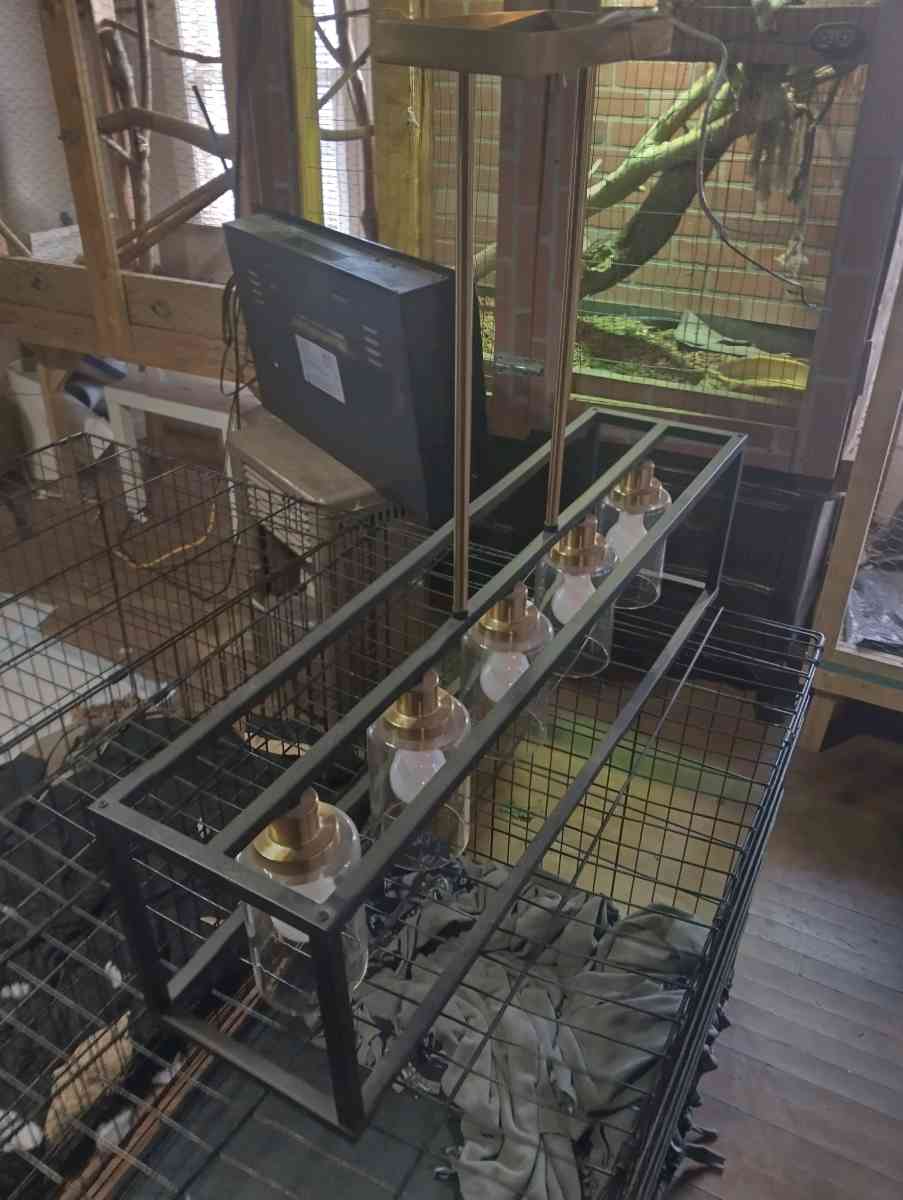 hanging light fixture - Dallas, Texas