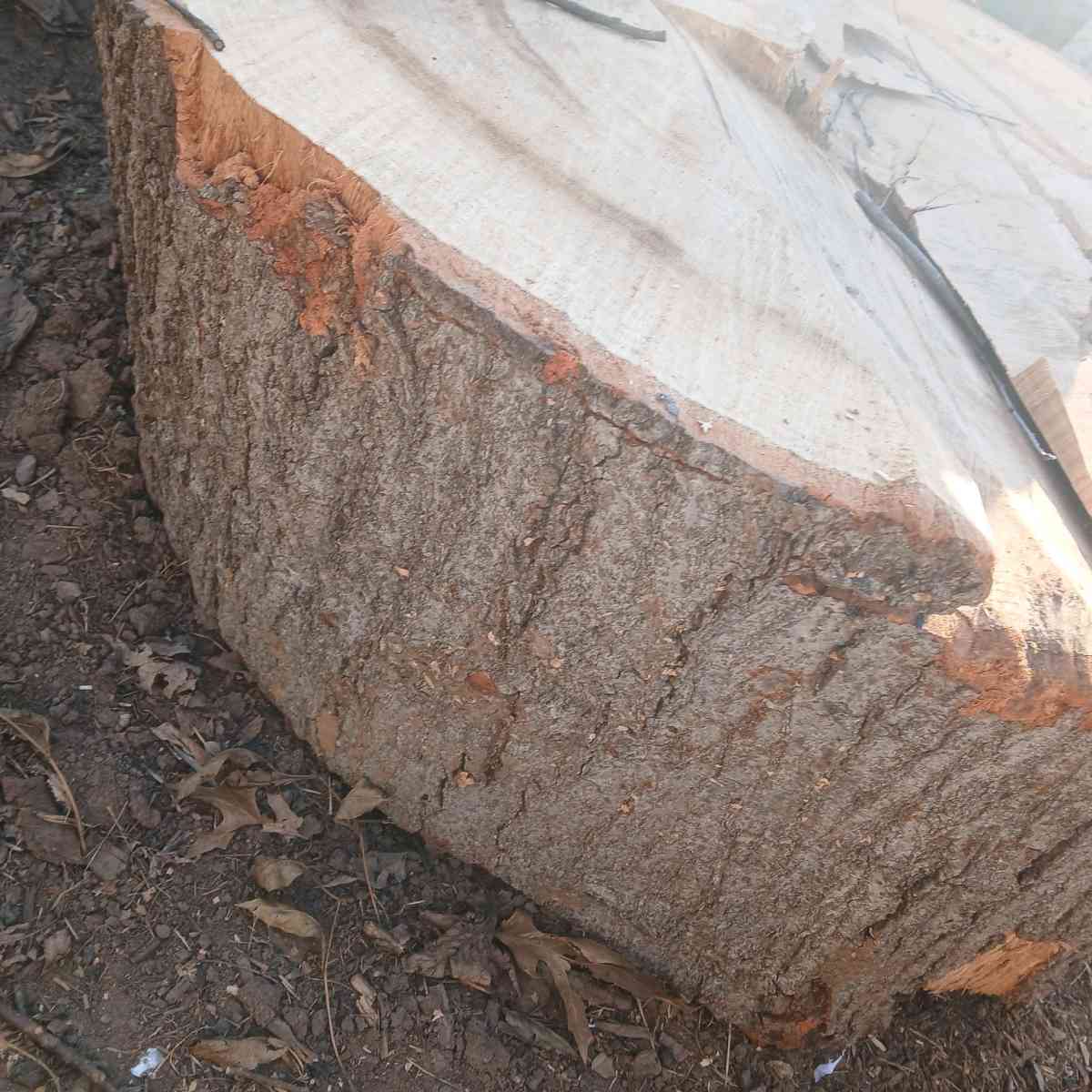 stereo elite  boss flatscreen