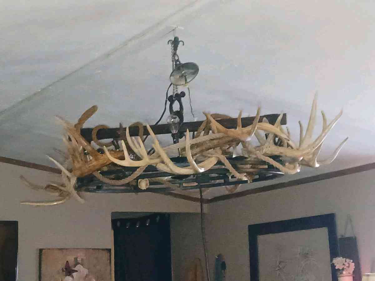 Deer antler chandelier ox yoke - Chillicothe, Ohio - FleaMarketBay