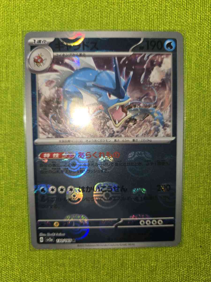 gyarados - Yelm, Washington