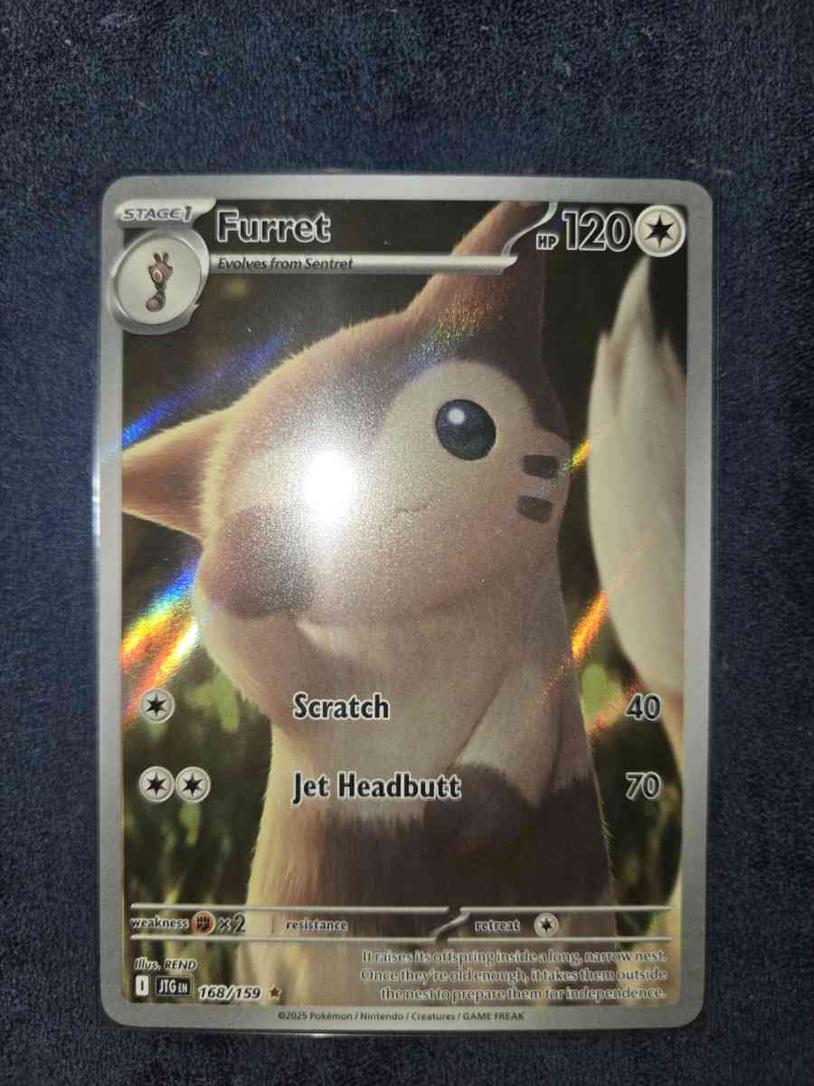 furret - Yelm, Washington