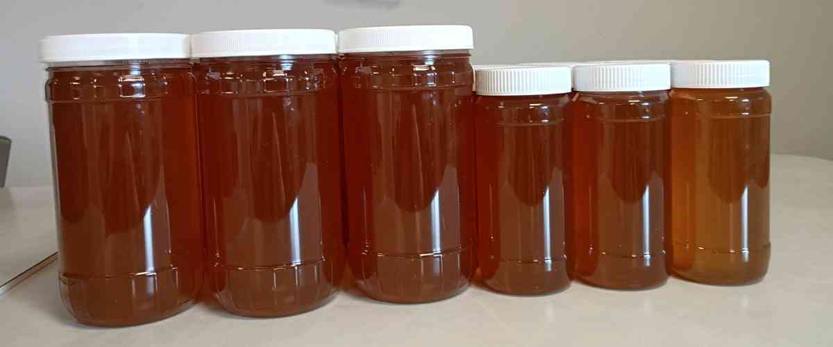 Honey Raw Unprocessed Honey Miel de Abeja Pura sinprocesada