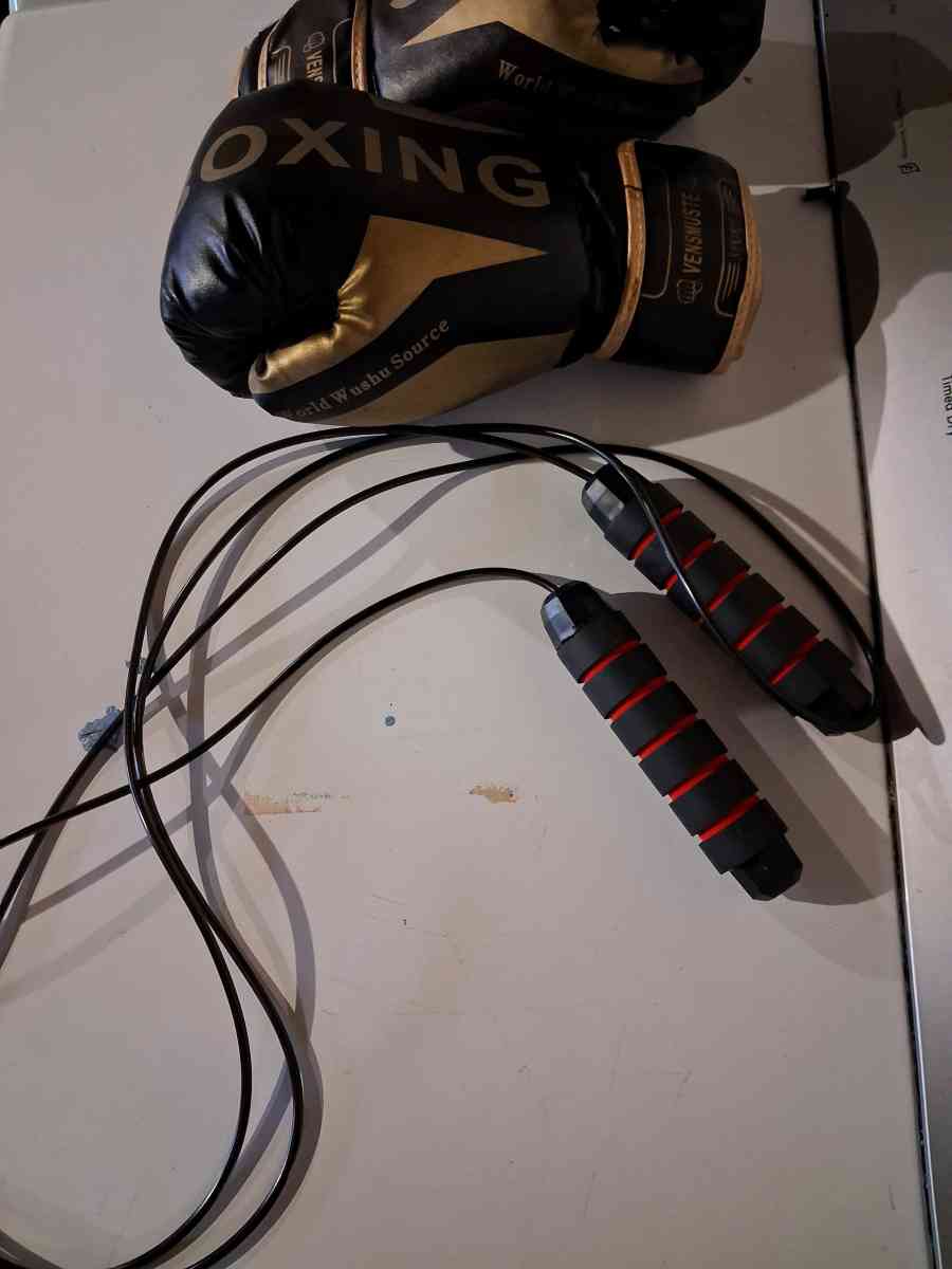 boxing bag and gloves - Manteca, California - FleaMarketBay