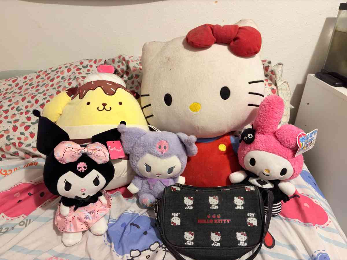 Sanrio Plushies - Kissimmee, Florida