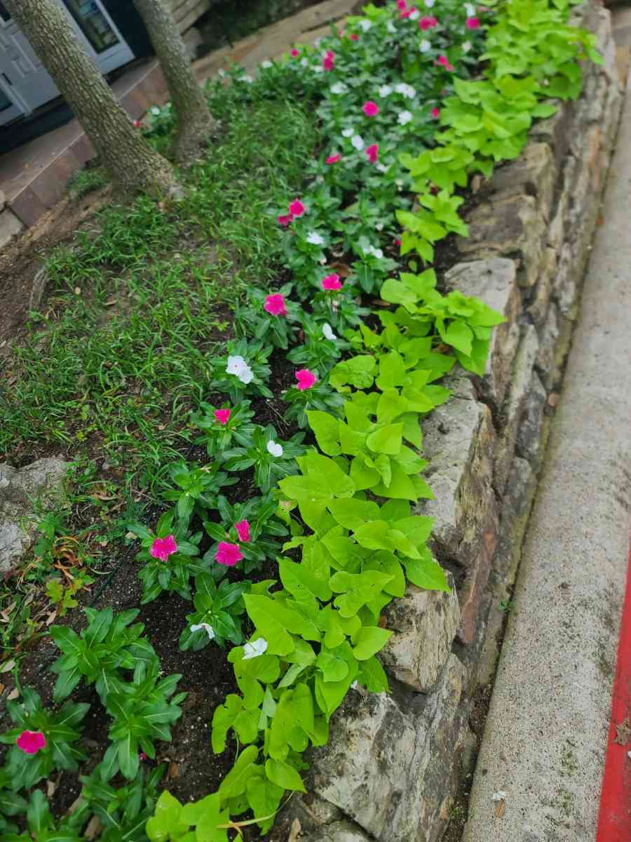 lawn Service - Dallas, Texas - FleaMarketBay