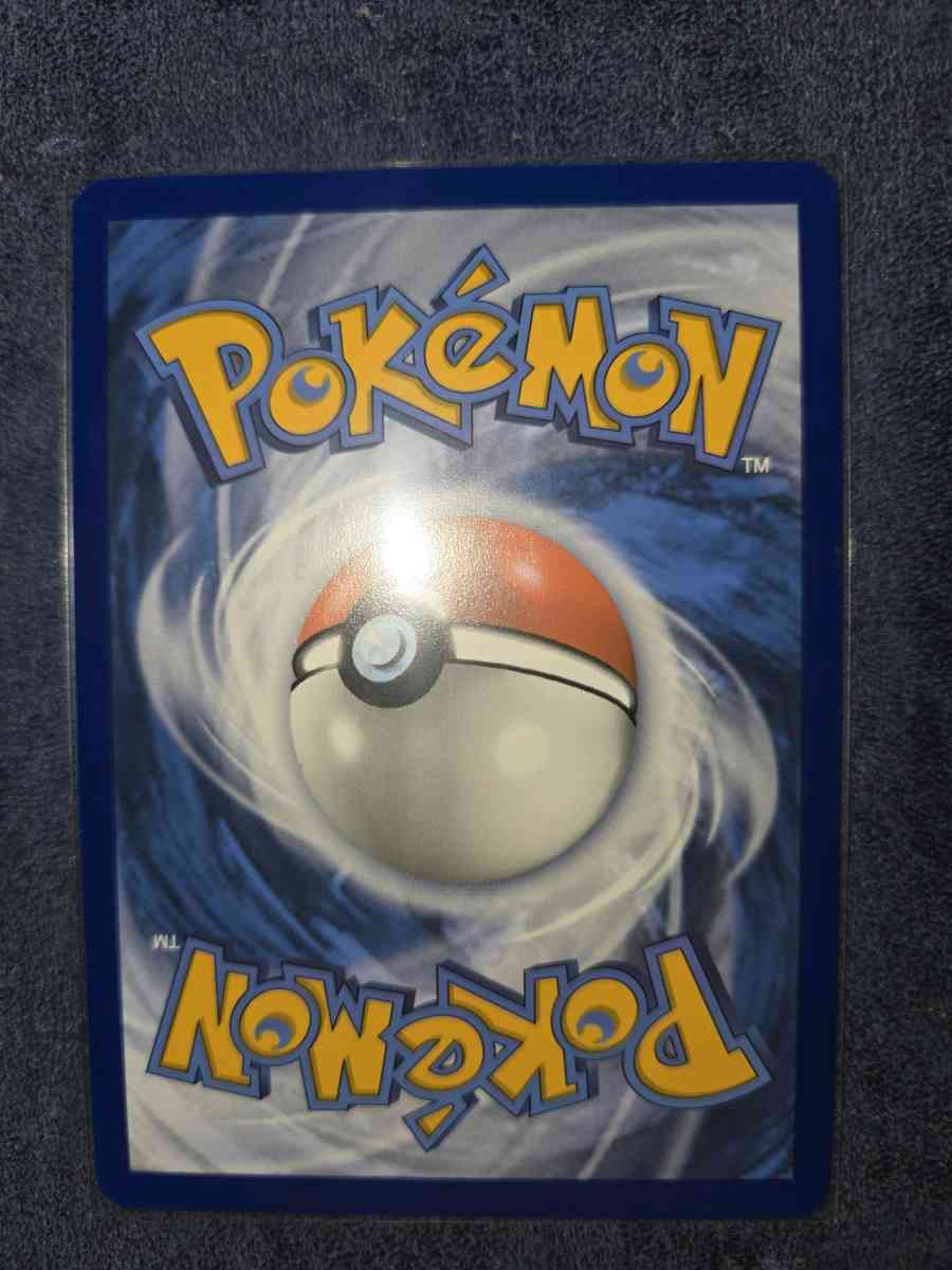 furret - Yelm, Washington - FleaMarketBay