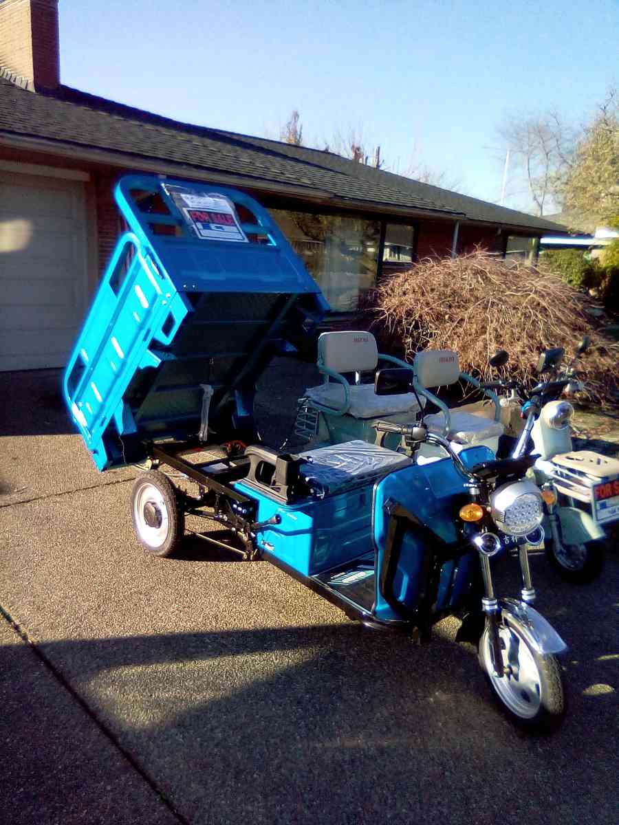 iret13 electric trike truck scooter - Auburn, Washington - FleaMarketBay