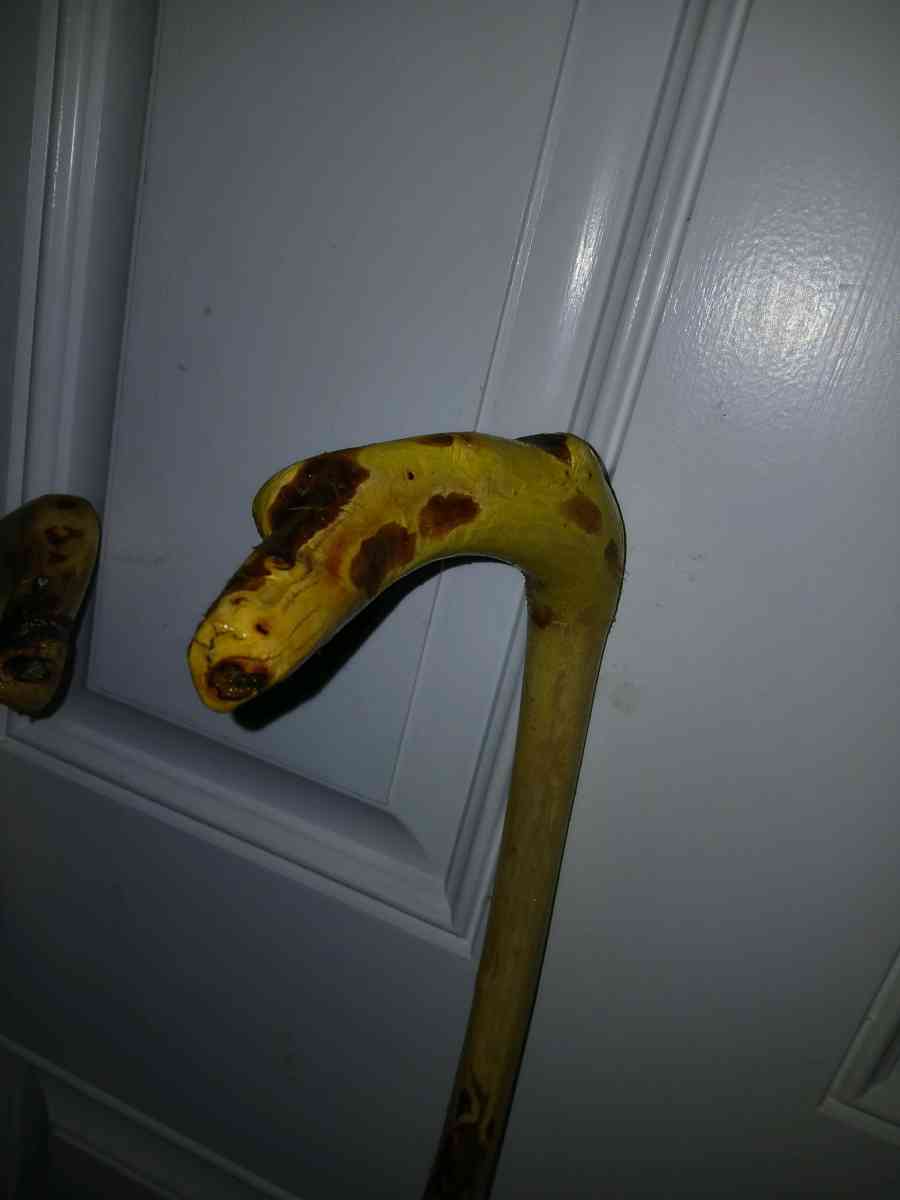 hazelnut walking stick - Troy, New York - FleaMarketBay