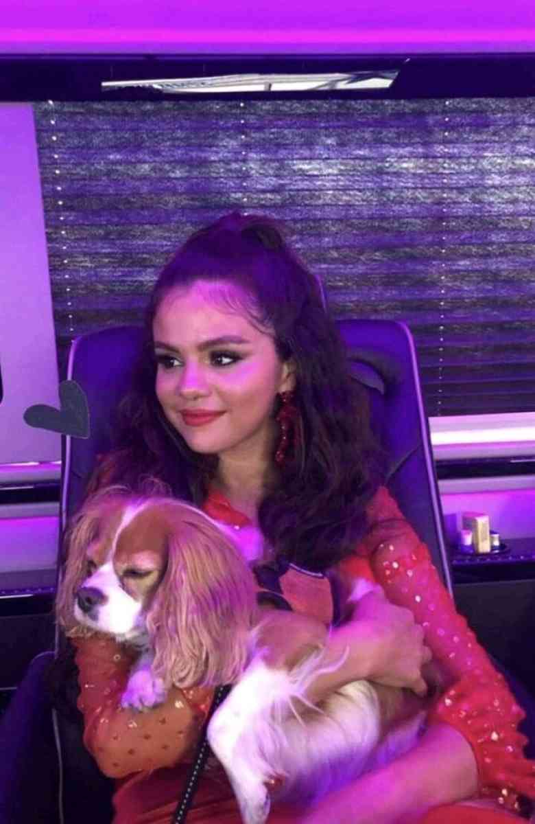 laptop - Alicia, Arkansas - FleaMarketBay