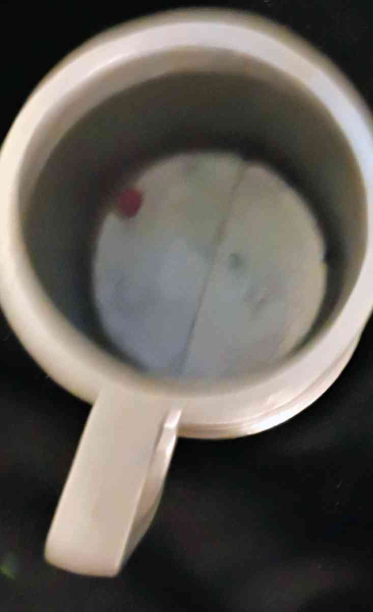 vintage ASPEN hand forged pewter mug - Park Rapids, Minnesota - FleaMarketBay