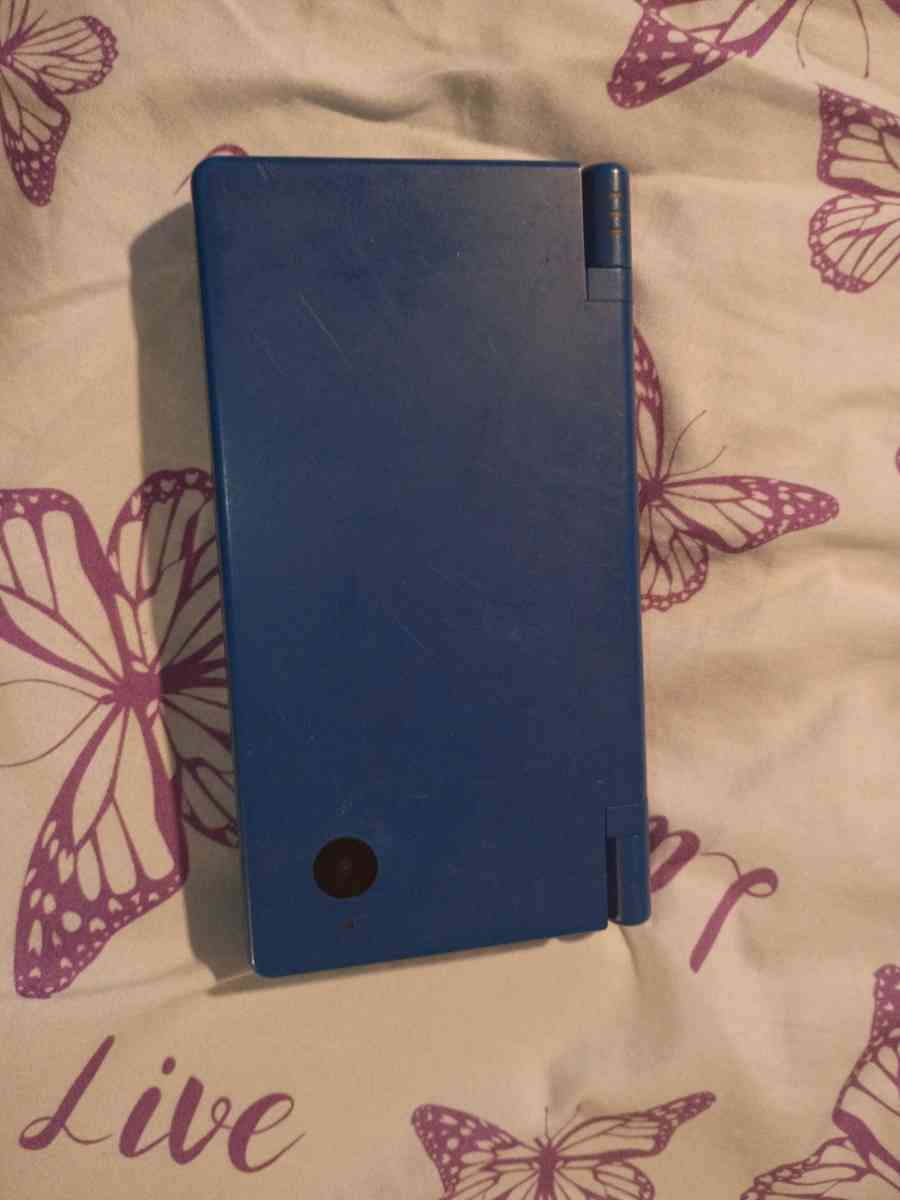 Nintendo dsi
