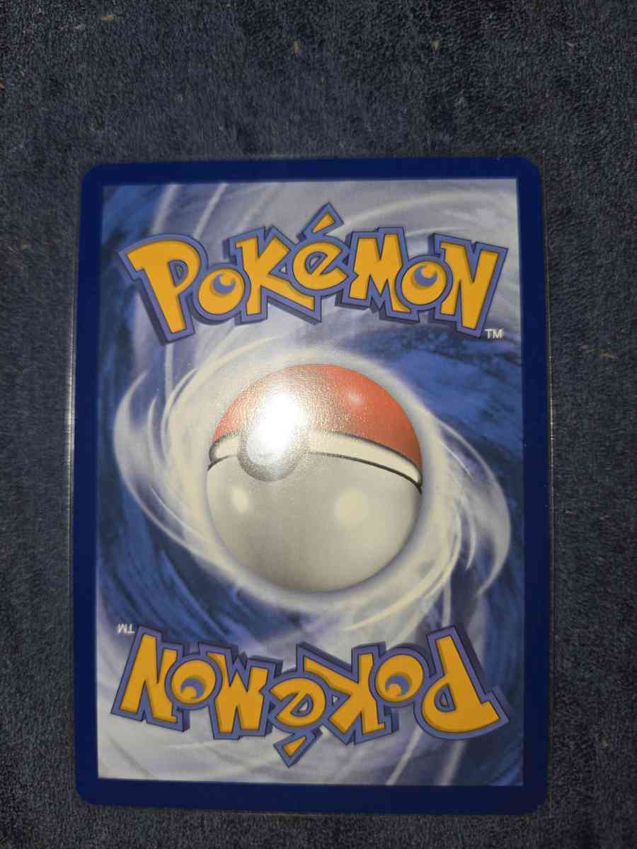 skarmory - Yelm, Washington - FleaMarketBay