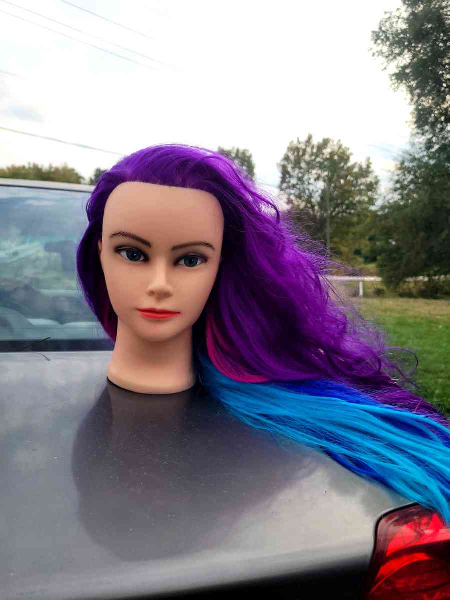 mannequin head - Goshen, Ohio