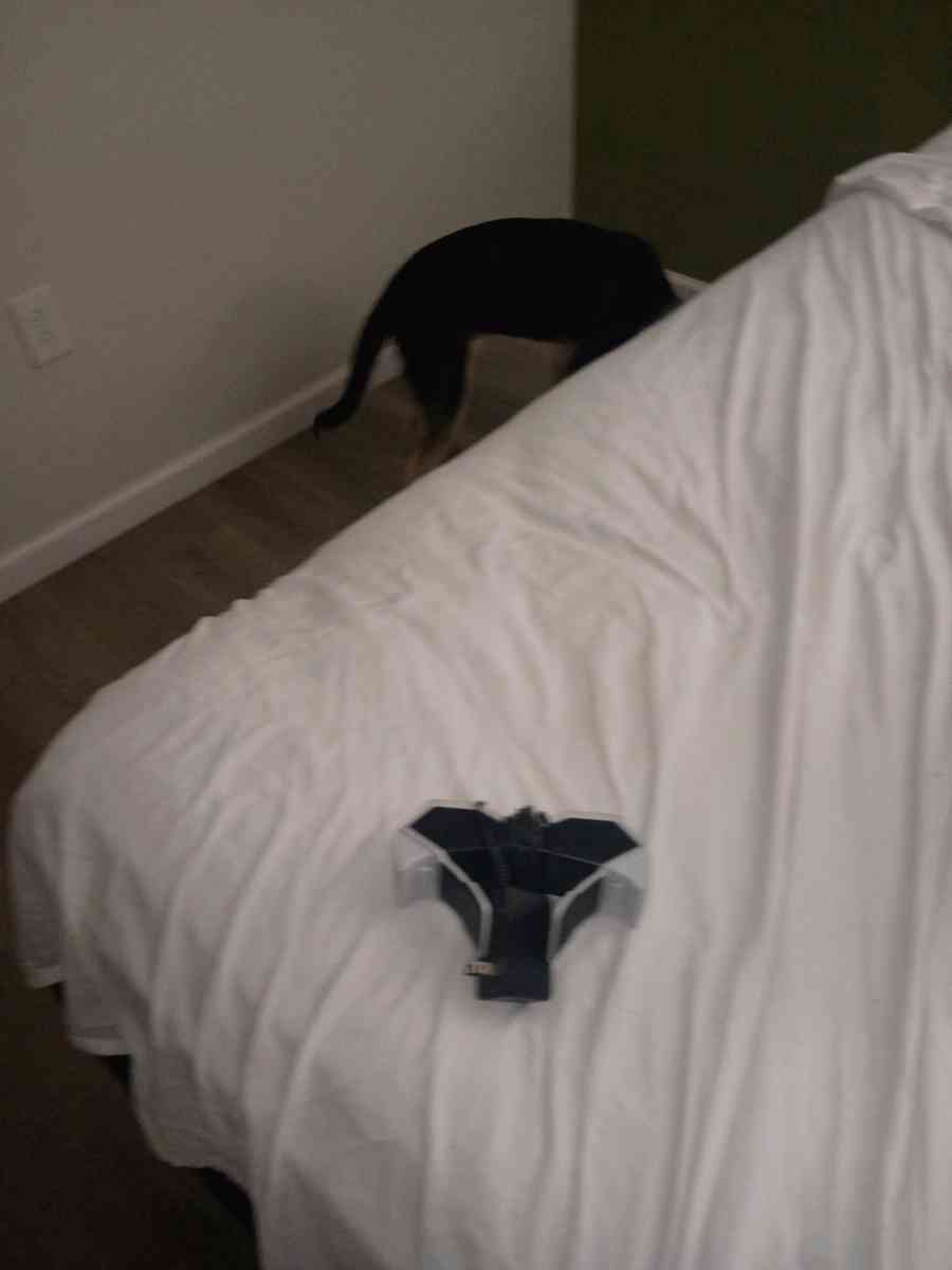 PS5 gaming set - Thomasville, North Carolina - FleaMarketBay