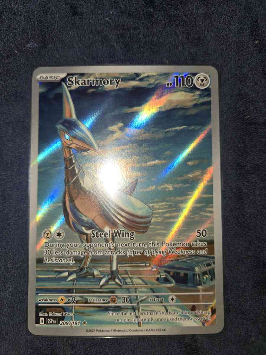 skarmory - Yelm, Washington