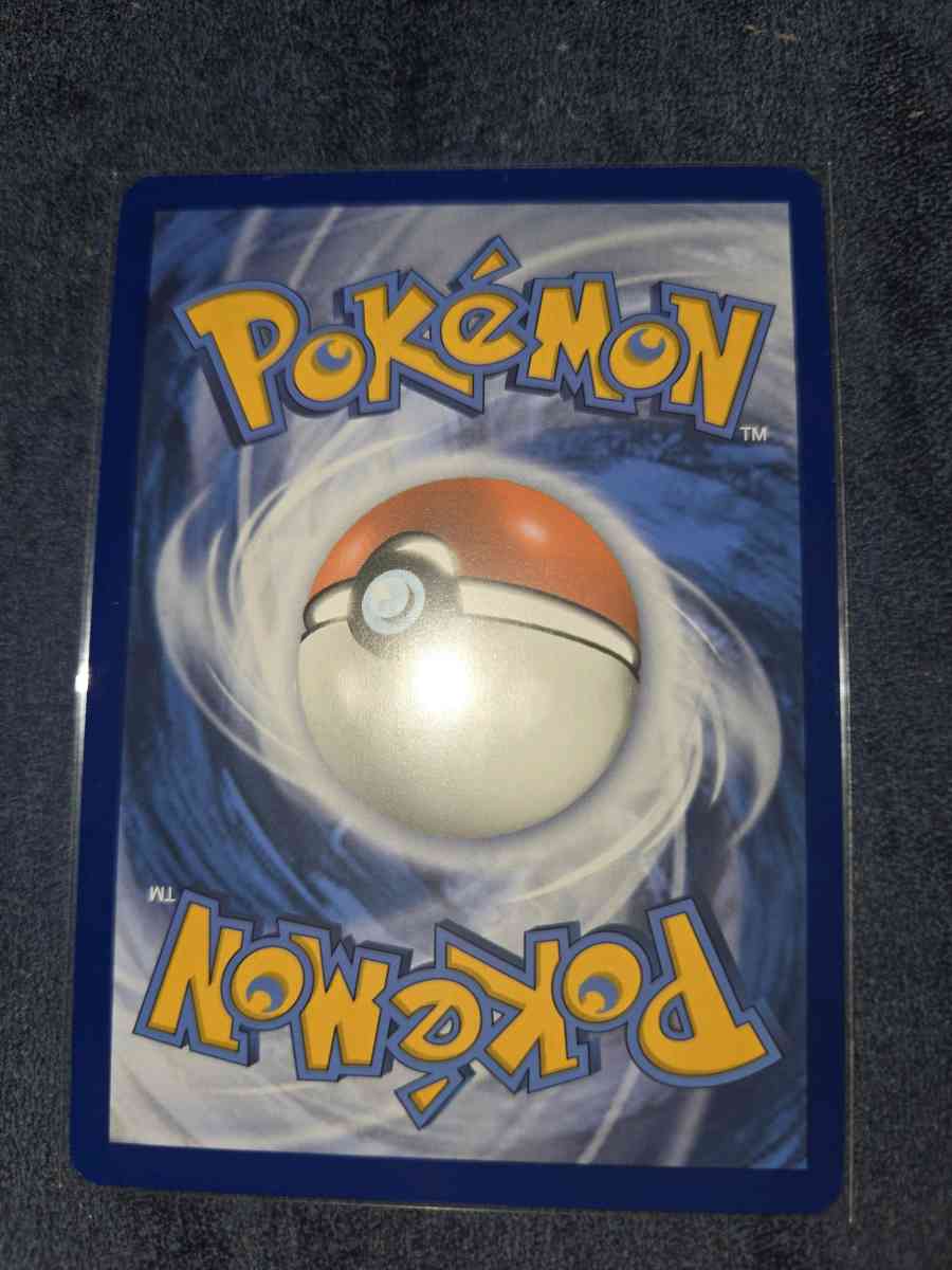 pidgey - Yelm, Washington - FleaMarketBay