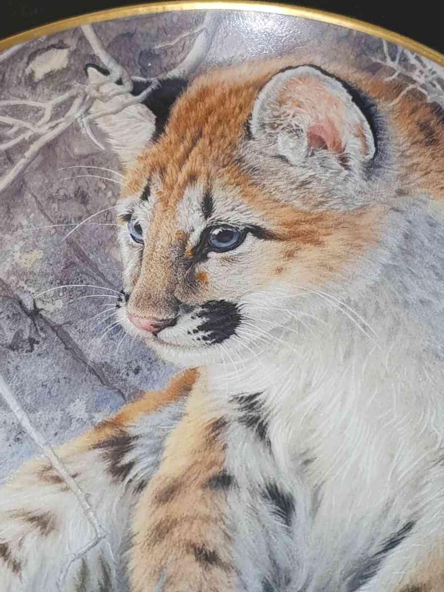 Franklin Mint First Encounter Glen Loates Tiger Porcelain Co - Toms River, New Jersey - FleaMarketBay