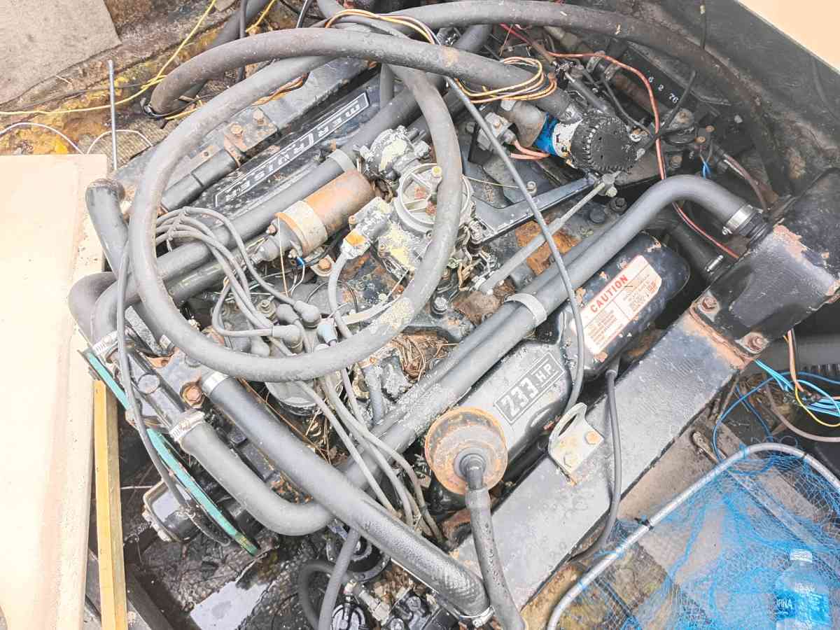 233 Mer cruiser with a 351w block 79model tbygvvggggg1t - Punta Gorda, Florida