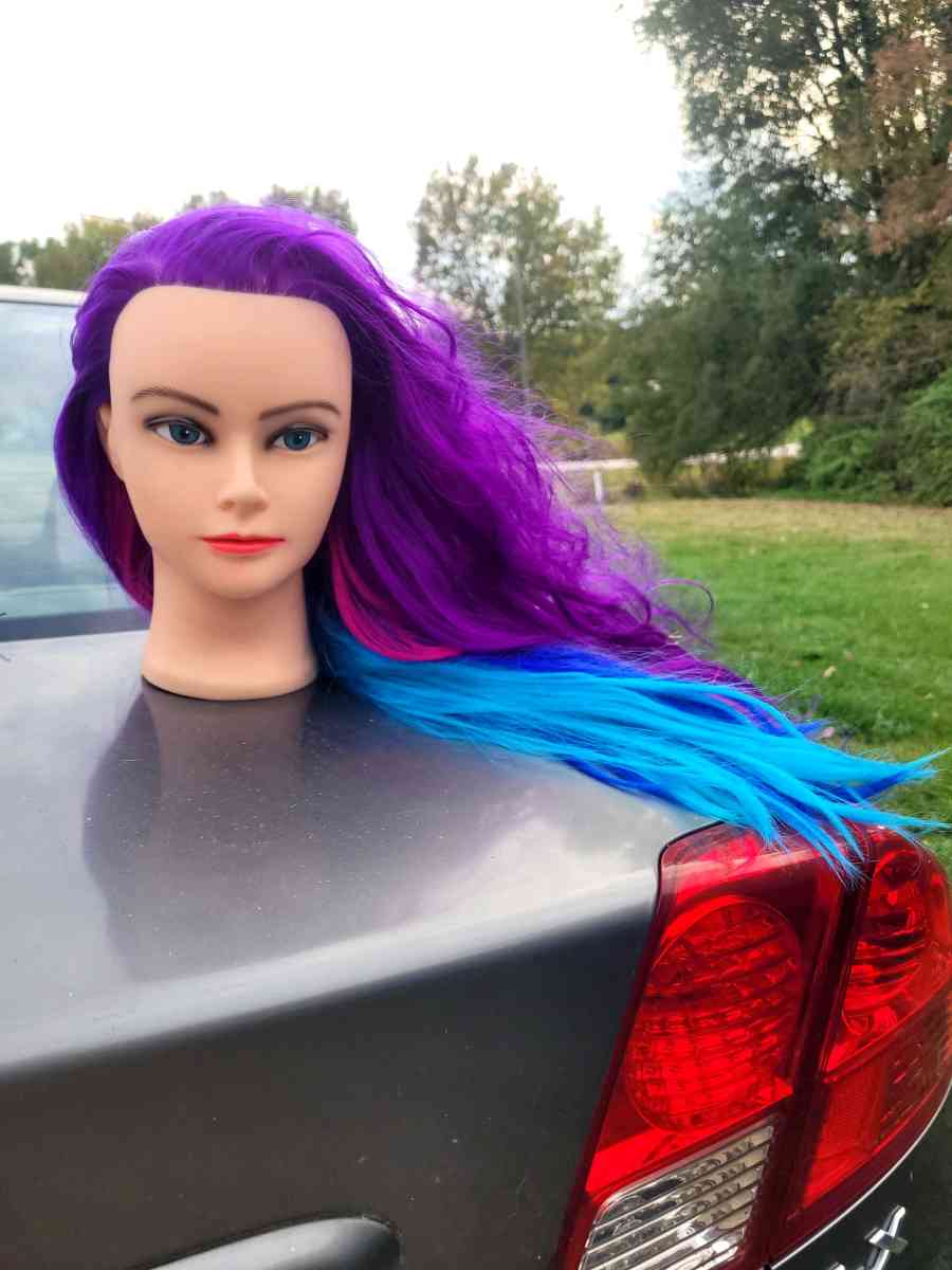 mannequin head - Goshen, Ohio - FleaMarketBay