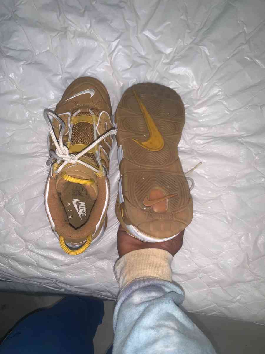 Nike air max brown - Tampa, Florida - FleaMarketBay