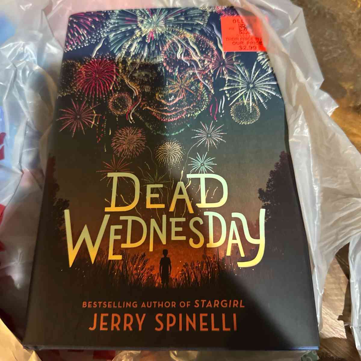 blow up ornament and a book to read - Hazard, Kentucky - FleaMarketBay