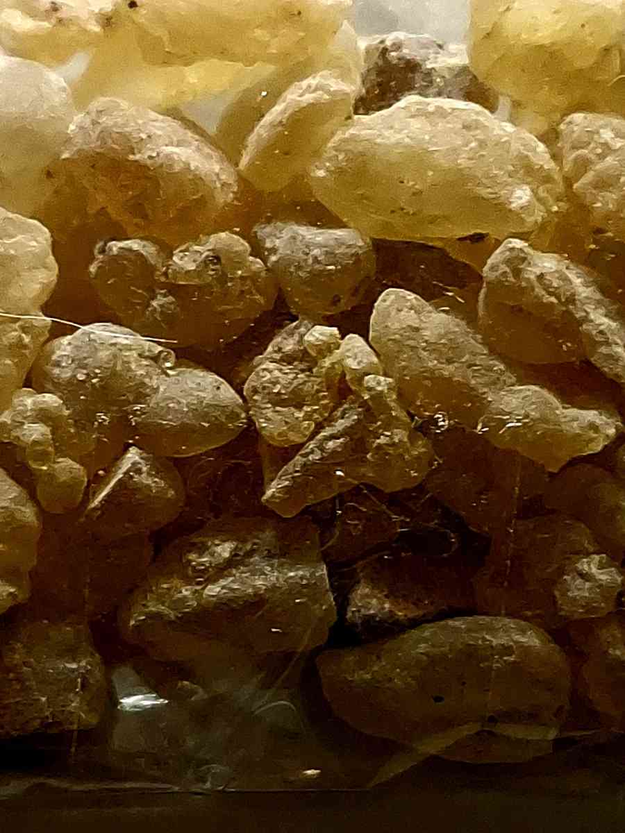 ORGANIC FRANKINCENSE NATURAL BURN CHURCH GREEK LADAN 10 GR - Adams, New York - FleaMarketBay