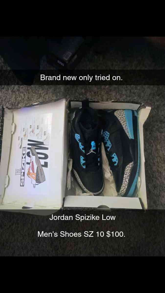 mens Jordans spizike low casual shoe