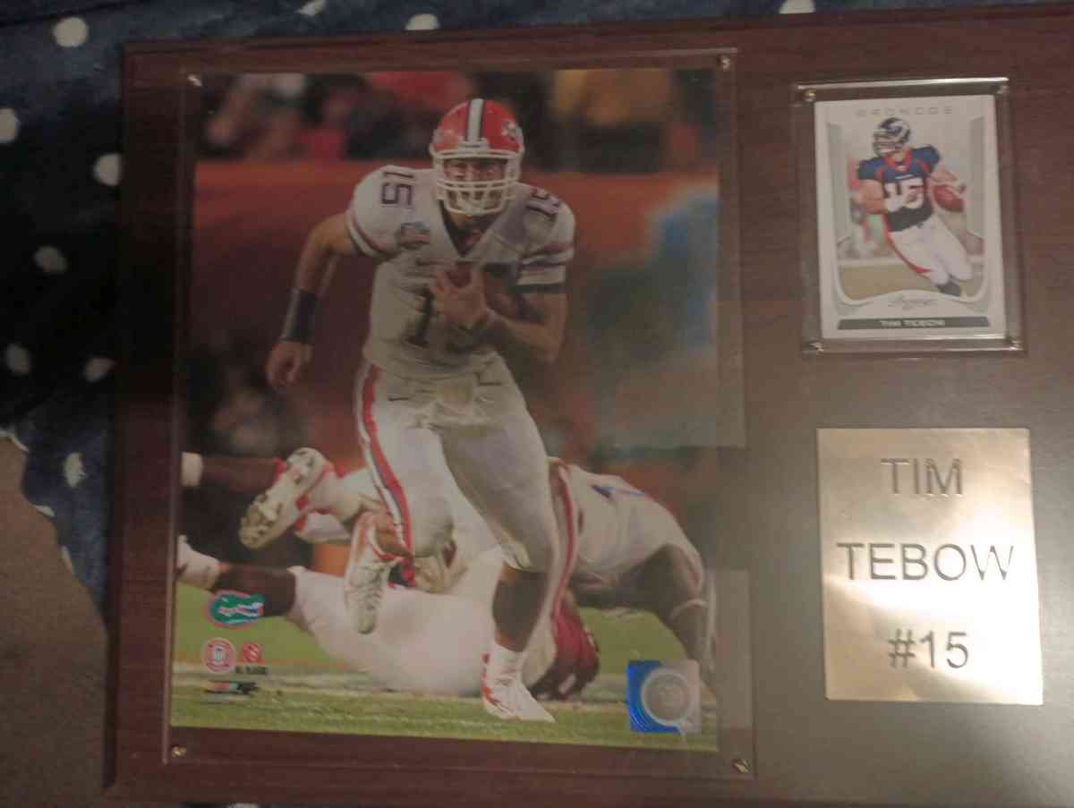 Tim Tebow  Collectable  plaque - Byron, Georgia - FleaMarketBay
