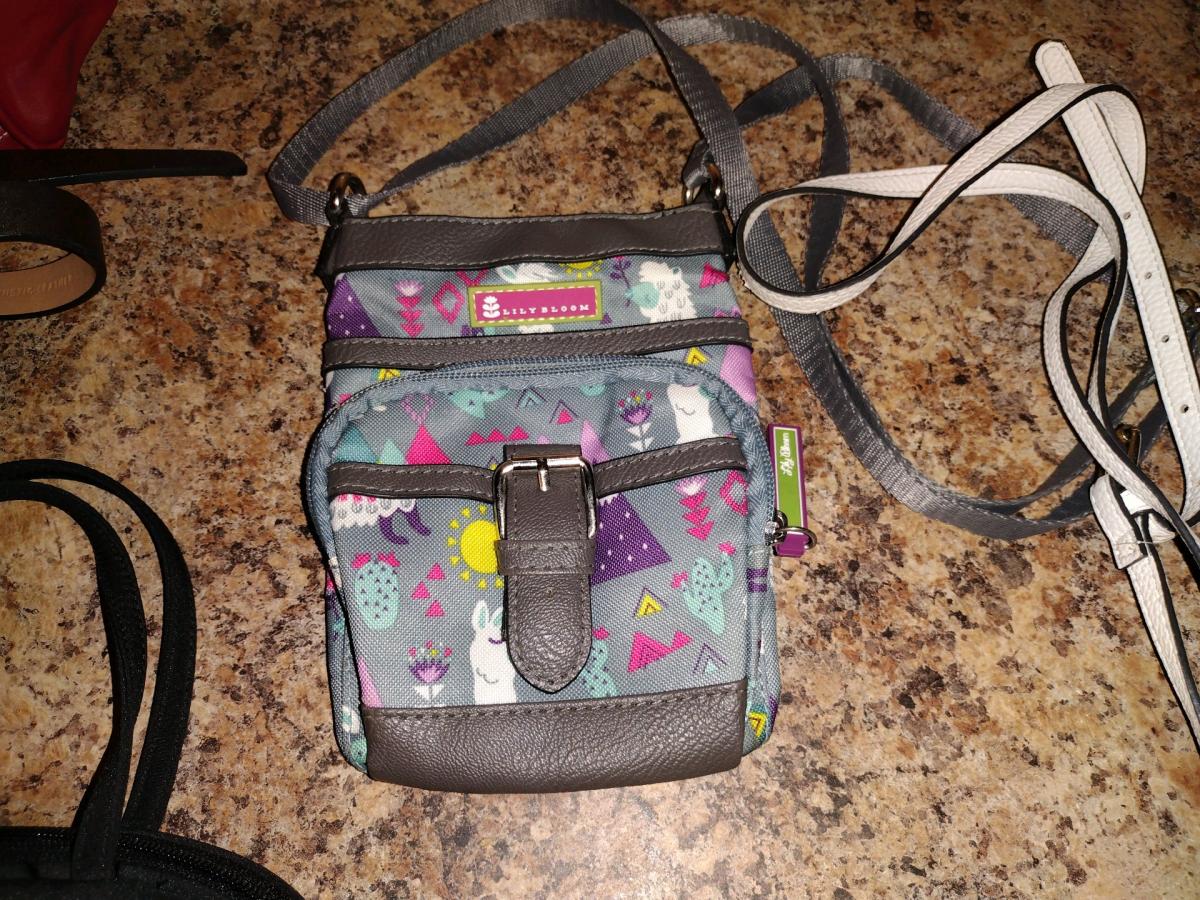 6 Small Carrying Purses - Corning, Arkansas - FleaMarketBay