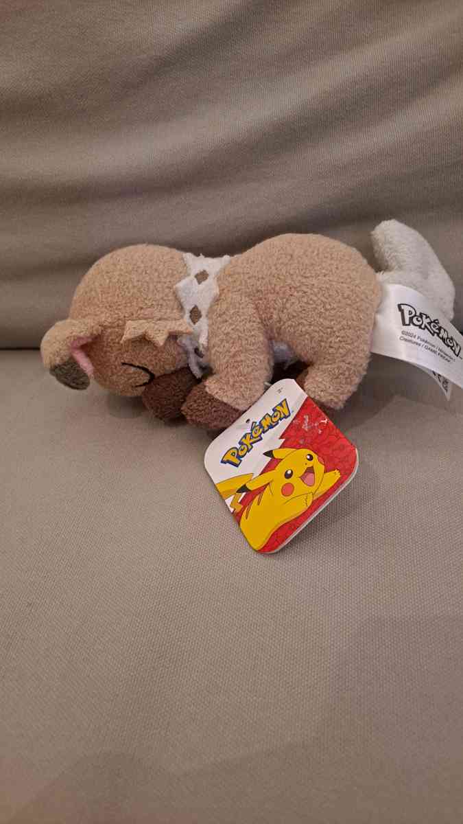 Jazwares Sleeping Rockruff Pokmon Plush 2024 - Winter Park, Florida - FleaMarketBay