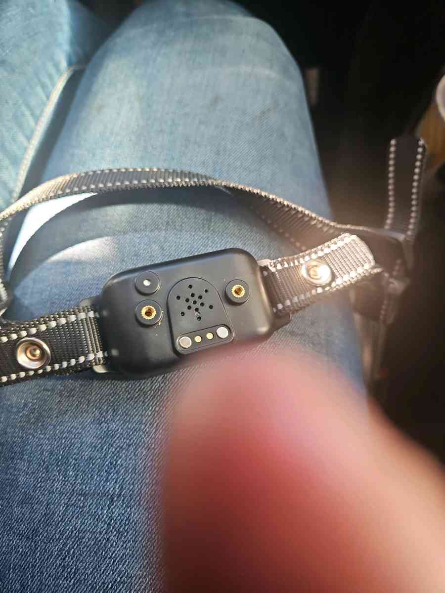bark shock collar - Colorado Springs, Colorado - FleaMarketBay