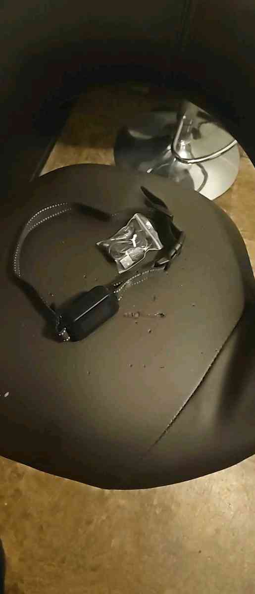 bark shock collar - Colorado Springs, Colorado - FleaMarketBay