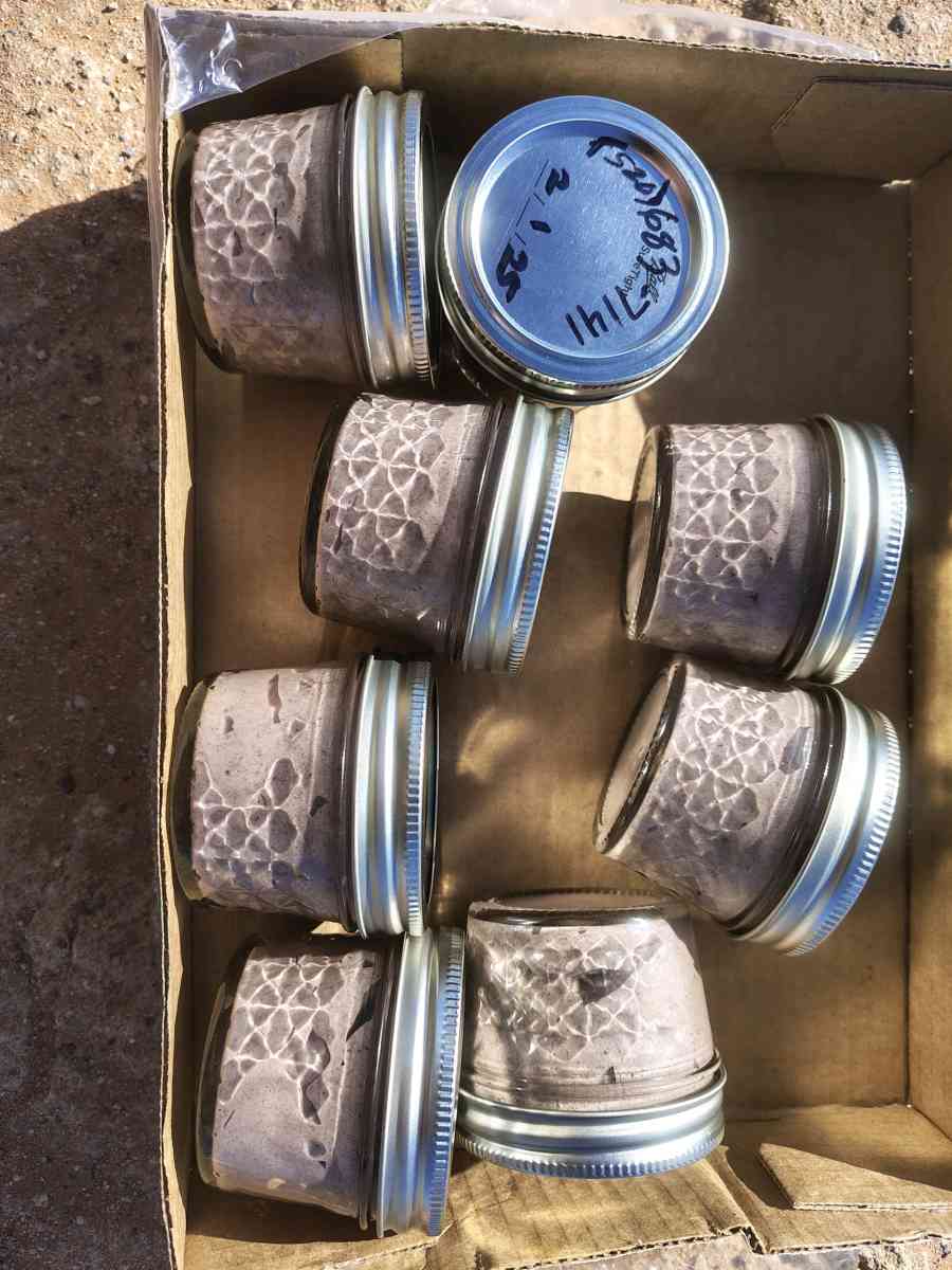 Tepezcohuite lotion for Psoriasis and Eczema