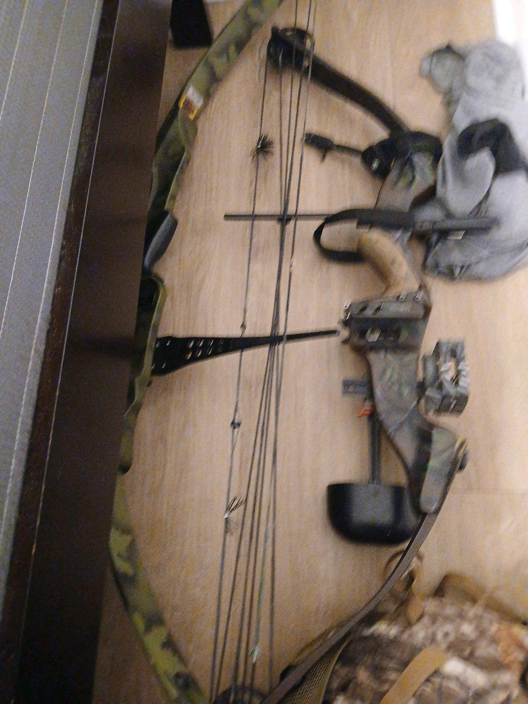 compand  bow - Austell, Georgia - FleaMarketBay