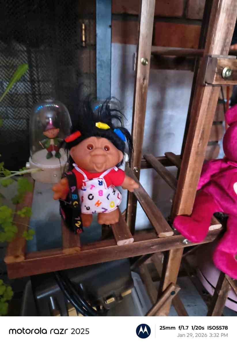 Tybeanie bear troll and angry bird - Adirondack, New York - FleaMarketBay