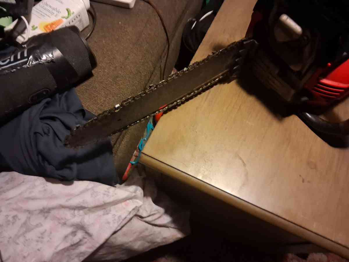 Craftsman Chainsaw - Dade City, Florida - FleaMarketBay