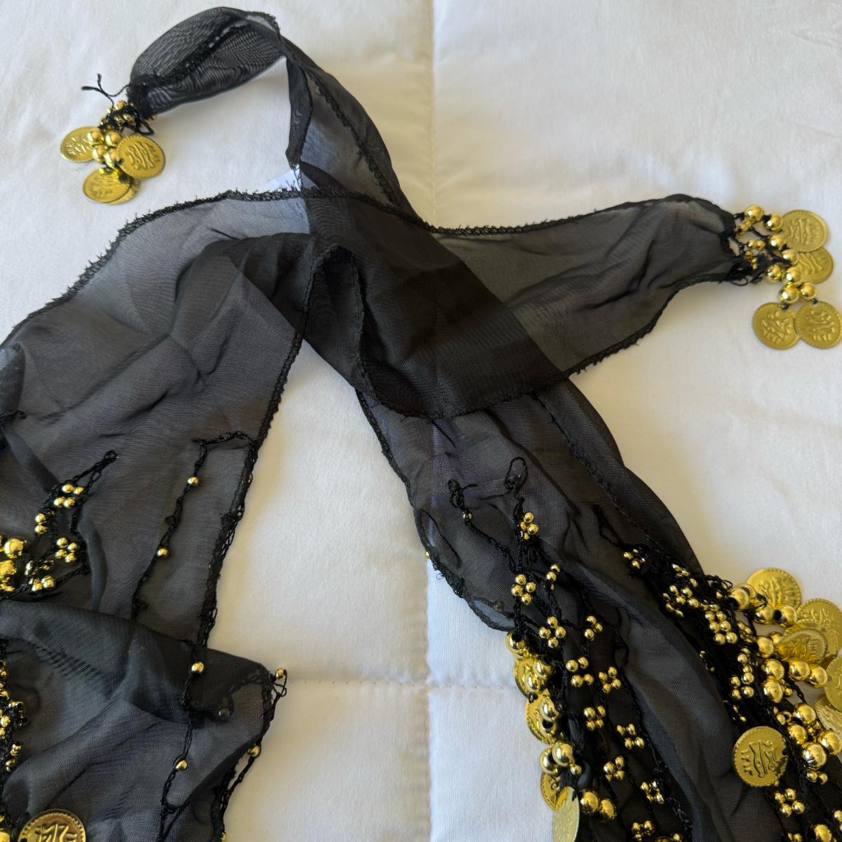 Black Chiffon Belly Dance Hip Scarf with Gold Coin Trim  Tri - Los Angeles, California - FleaMarketBay