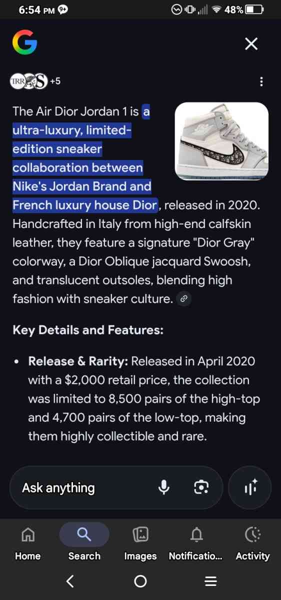 Nike Air Dior high tops - Cambra, Pennsylvania - FleaMarketBay