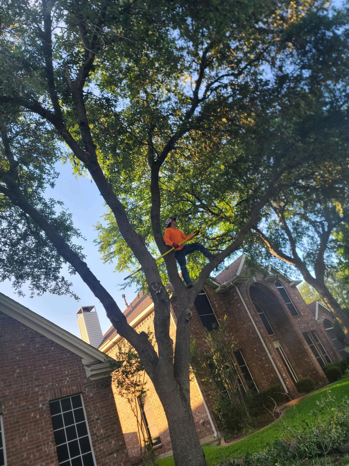 residential and commercial - Dallas, Texas - FleaMarketBay