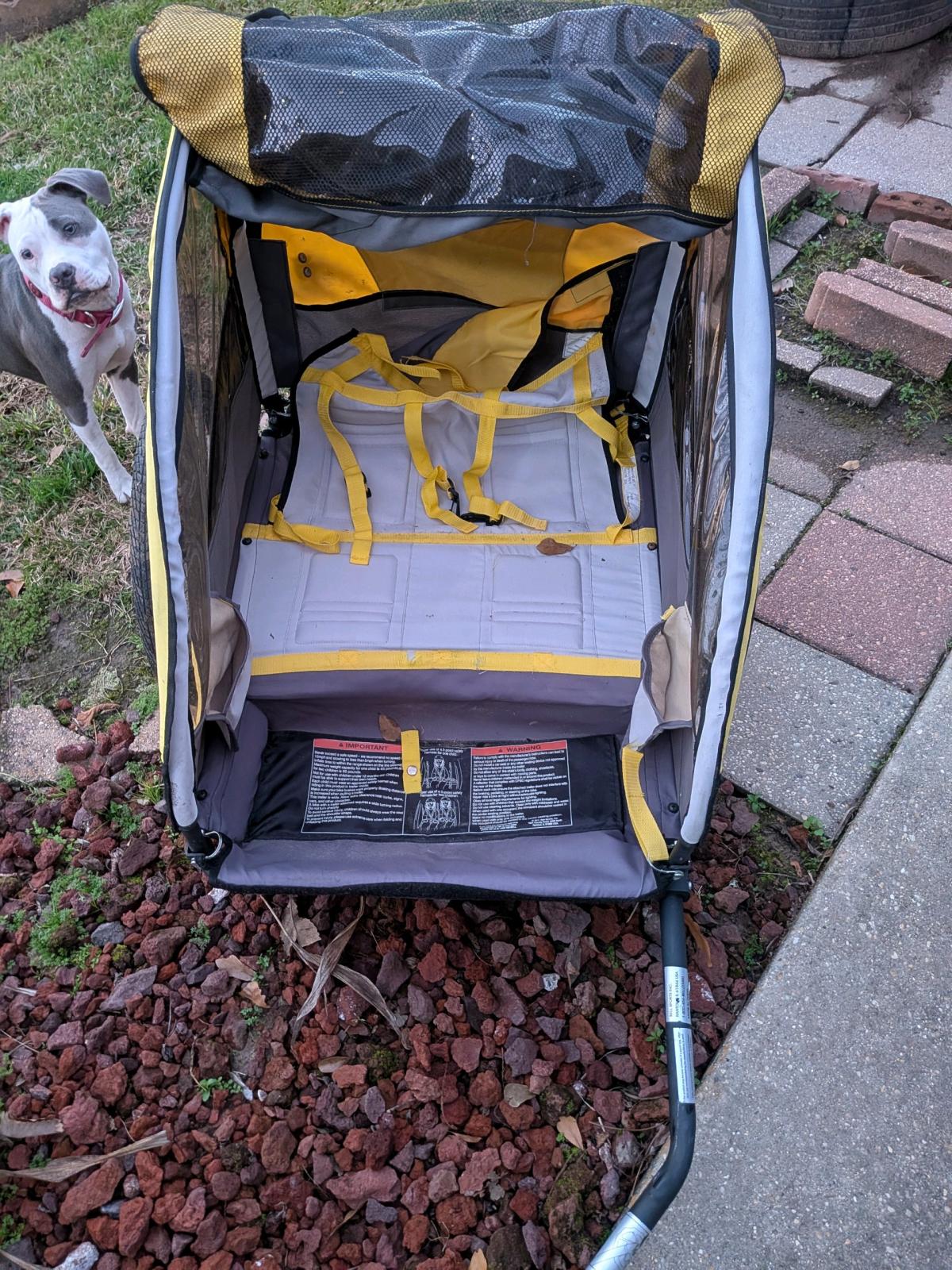 copilot bike kids trailer