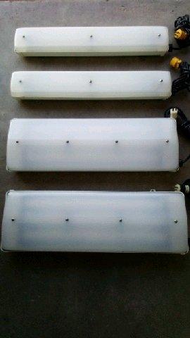 Fluorescent light fixtures with bulbs - Spring Valley, California