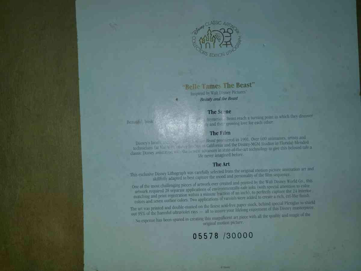 Disney framed pictures - Loveland, Colorado - FleaMarketBay