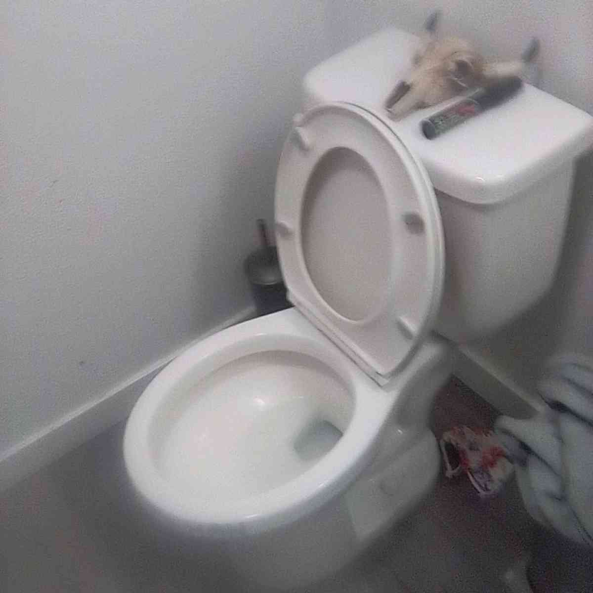 my boyfriend apartment - Los Angeles, California - FleaMarketBay