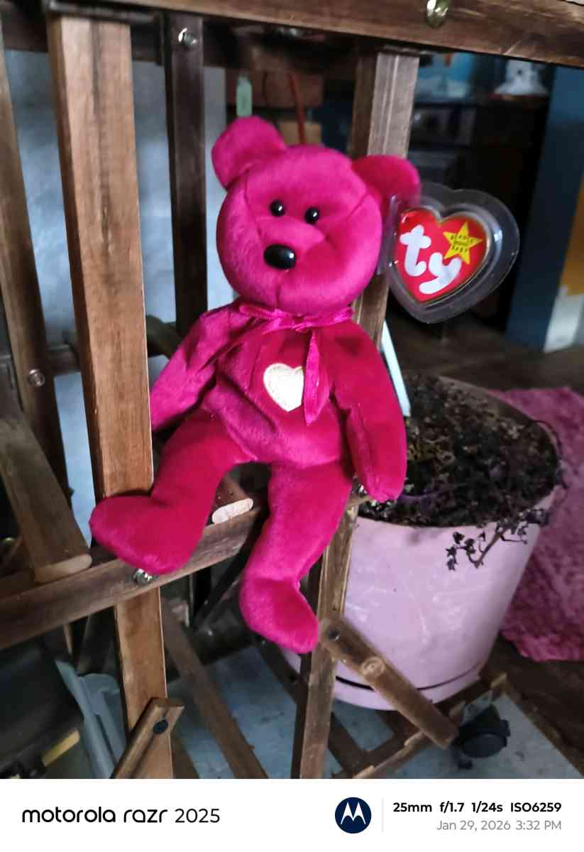 Tybeanie bear troll and angry bird - Adirondack, New York - FleaMarketBay