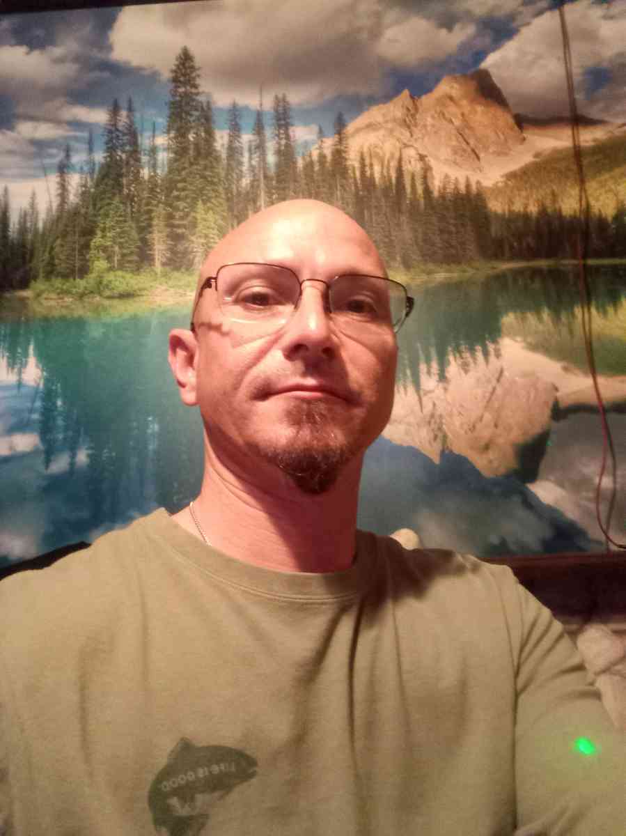 AI Consultant and Integration